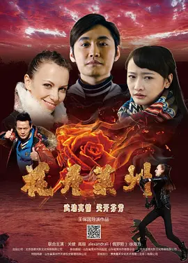 功夫爱情喜剧《花开莱州The Volunteer》洋妞囧到爱 中国首部义工电影   关健 高瑕 亚历克斯·安德拉利 徐海为